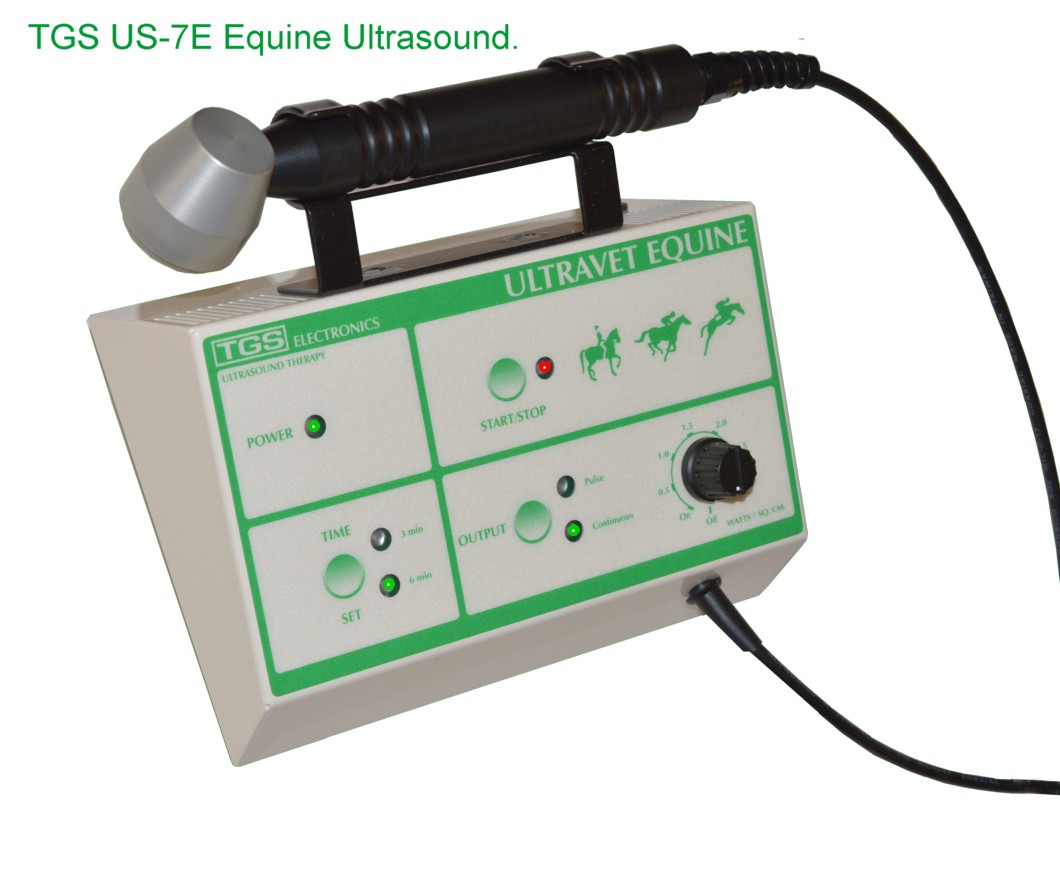 the TGS Equine ultrasonic therapy is a safe treatment for muscle injuries in horses.