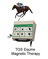 Equine Magnetic Pulsed Magnetic Therapy for muscle treatment and swelling.