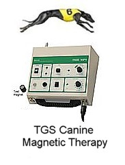Canine Magnetic Therapy for treating muscle and swelling injuries.